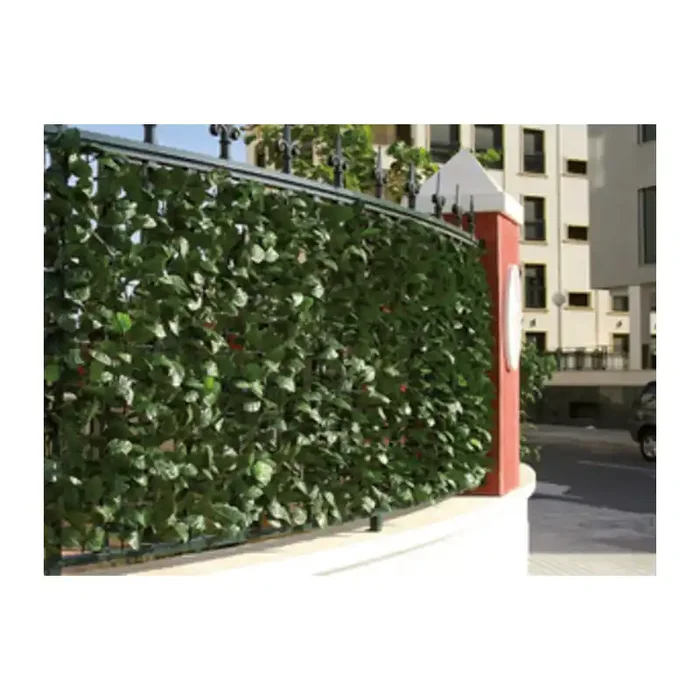 ARELLA SEMPREVERDE LAURO 1,00 X 3,00 M