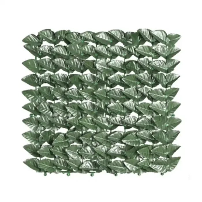 ARELLA SEMPREVERDE LAURO BOTTON 1 X 20 M