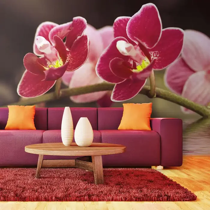 Fototapete – Orchideenblüten Spiegelungen im Wasser 450x270cm Erroi