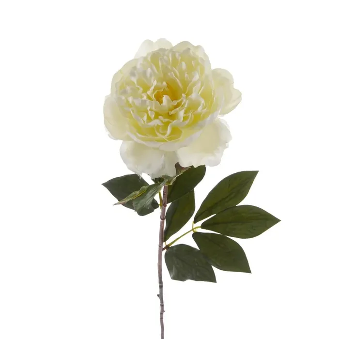 Set 6 Peonia Artificiale Aperta Altezza 76 cm