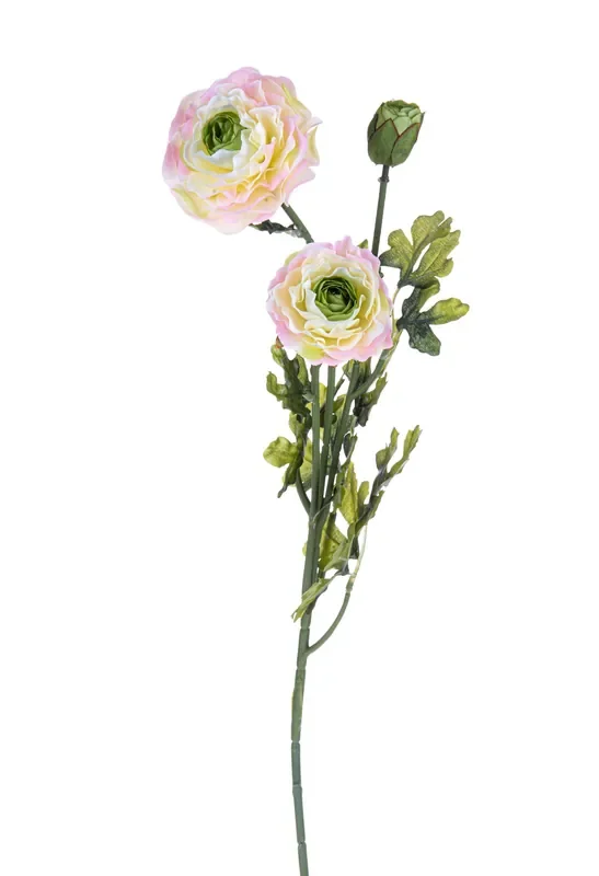 Set 6 Ranuncoli Artificiali Altezza 74 cm Rosa