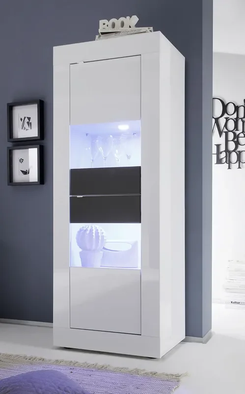 Wohnzimmer Hochschrank 2-türig 61x43x162cm TFT Basic Glänzend Weiß und Glänzend Anthrazit u